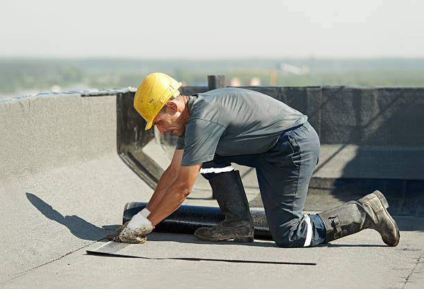 Best Specialty Insulation in Enigma, GA